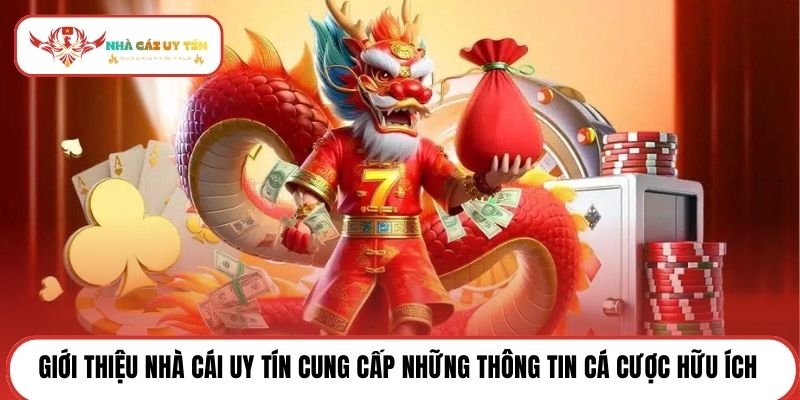 Giới thiệu Nhà cái uy tín cung cấp những thông tin cá cược hữu ích